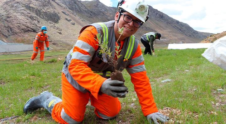 Minera Bateas siembra 300 árboles en su unidad minera con la participación de sus colaboradores