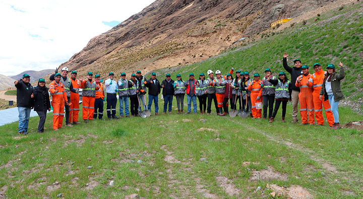 Minera Bateas siembra 300 árboles en su unidad minera con la participación de sus colaboradores