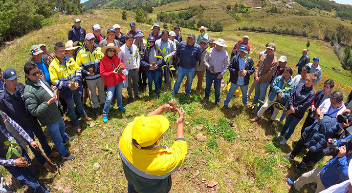 A través del Proyecto “Huella verde” se logró plantar 600 mil árboles en Cajamarca