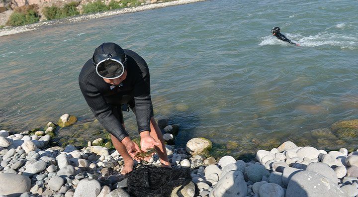 Por quinto año consecutivo instituciones trabajaron juntas para proteger al camarón del río Majes
