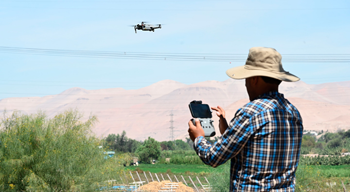 Más de 50 proyectos de desarrollo productivo y riego de Anglo American han impulsado el agro y ganadería de Moquegua