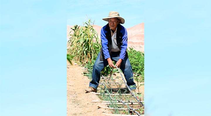 Más de 50 proyectos de desarrollo productivo y riego de Anglo American han impulsado el agro y ganadería de Moquegua