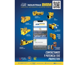 IMIM-WEB