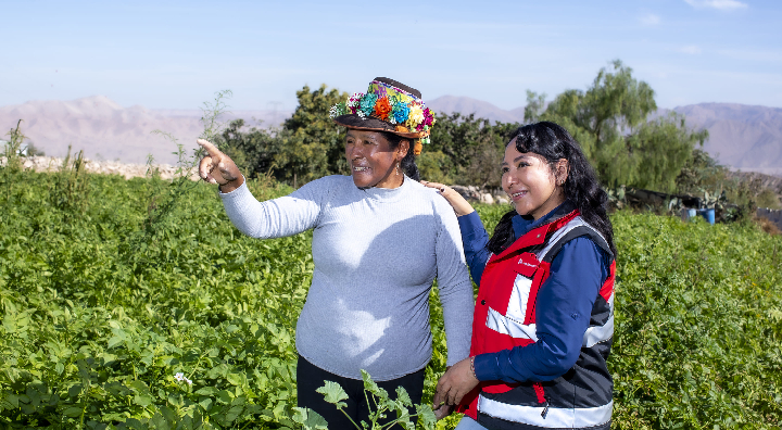 Quellaveco cumple cuatro años como la primera mina digital del Perú
